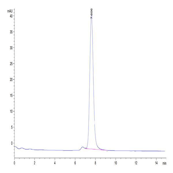 Human Neuropilin-2 Protein (NRP-HM102) Human Neuropilin-2 Protein (NRP-HM102)