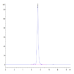 Mouse Neuropilin-2 Protein (NRP-MM102)