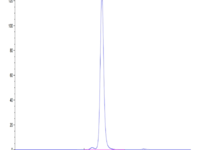 Mouse Neuropilin-2 Protein (NRP-MM102)