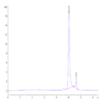 Human NRAS Protein (NRS-HE101)