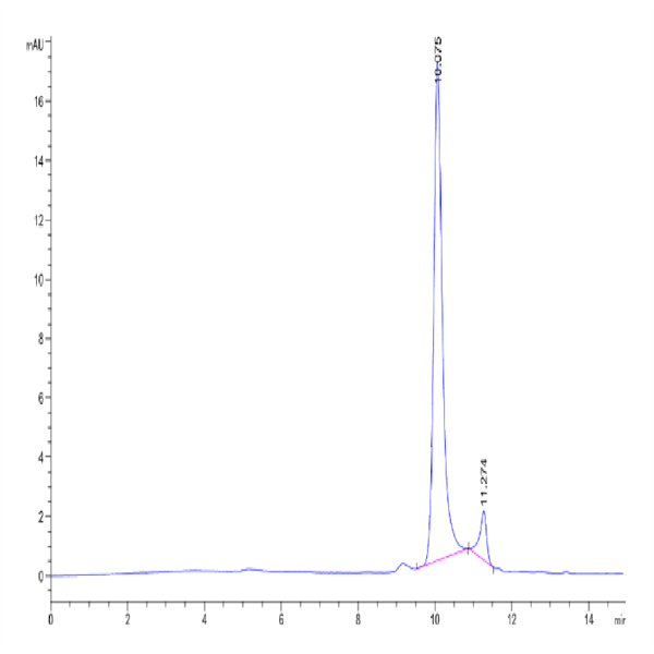 Human NRAS Protein (NRS-HE101) Human NRAS Protein (NRS-HE101)
