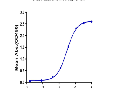 Human NTS1 Protein (NTS-HM201)