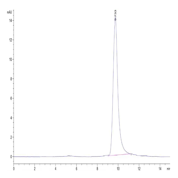 Human NUDT5 Protein (NUD-HE1T5) Human NUDT5 Protein (NUD-HE1T5)