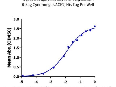 Non-biotinylated Cynomolgus ACE2/ACEH Protein, ACE-CM401 Ushelf