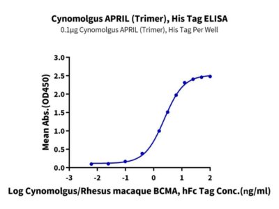 Non-biotinylated Cynomolgus APRIL/TNFSF13 Trimer Protein , APR-CM410 Ushelf
