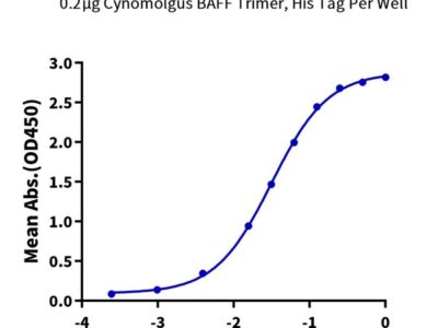Non-biotinylated Cynomolgus BAFF/TNFSF13B/CD257 Trimer Protein , BAF-CM412 Ushelf