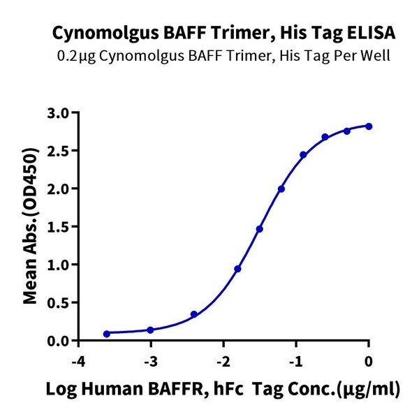 Non-biotinylated Cynomolgus BAFFTNFSF13BCD257 Trimer Protein , BAF-CM412 Non-biotinylated Cynomolgus BAFF/TNFSF13B/CD257 Trimer Protein , BAF-CM412 Ushelf