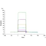 Non-biotinylated Human ANGPT2Angiopoietin-2 Protein , APN-HM401