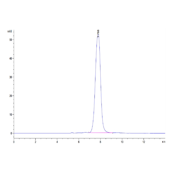 Non-biotinylated Human ANGPTL2Angiopoietin-like 2 Protein , ANG-HM4L2 Non-biotinylated Human ANGPTL2/Angiopoietin-like 2 Protein , ANG-HM4L2 Ushelf