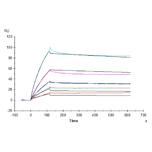 Non-biotinylated Human ANGPTL3Angiopoietin-like 3 Protein , ANG-HM403 Non-biotinylated Human ANGPTL3/Angiopoietin-like 3 Protein , ANG-HM403 Ushelf
