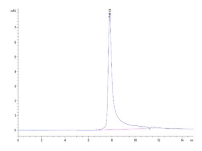 Non-biotinylated Human ANGPTL7/CDT6 Protein , ANG-HM407 Ushelf