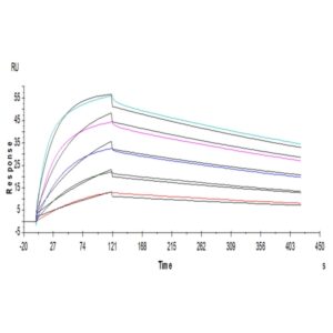 Non-biotinylated Human B7-1/CD80 Protein , B71-HM480 Ushelf