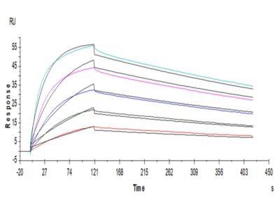 Non-biotinylated Human B7-1/CD80 Protein , B71-HM480 Ushelf