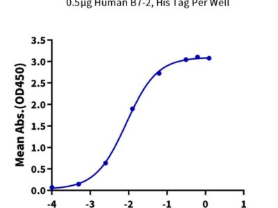 Non-biotinylated Human B7-2/CD86 Protein , B72-HM486 Ushelf