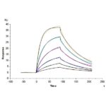 Non-biotinylated Human B7-H2ICOSLG Protein , BH7-HM472