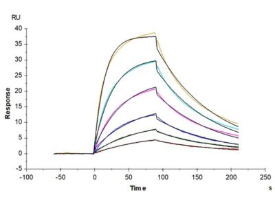 Non-biotinylated Human B7-H2/ICOSLG Protein , BH7-HM472 Ushelf