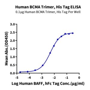 Non-biotinylated Human BCMA/TNFRSF17 Trimer Protein , BCM-HM417 Ushelf