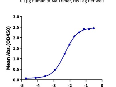 Non-biotinylated Human BCMA/TNFRSF17 Trimer Protein , BCM-HM417 Ushelf