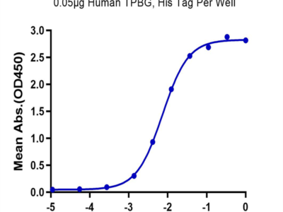 Non-biotinylated Human TPBG/5T4 Protein, 5T4-HM401 Ushelf