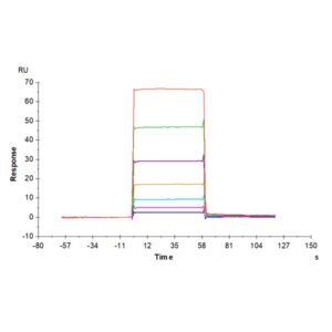 Non-biotinylated Mouse BCMA/TNFRSF17 Protein , BCM-MM417 Ushelf