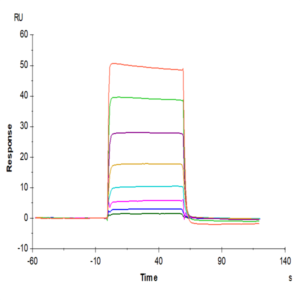 Human Oncostatin M/OSM Protein (ONM-HM401)