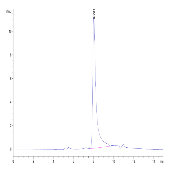 Human Oncostatin M/OSM Protein (ONM-HM401)