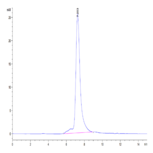 Mouse Periostin/OSF-2 Protein (OSF-MM102)