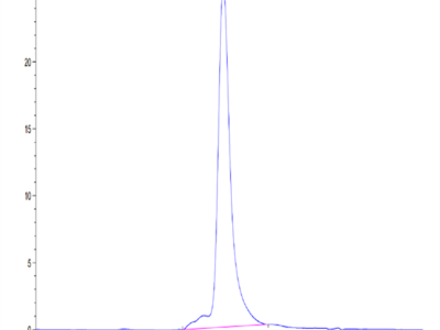 Mouse Periostin/OSF-2 Protein (OSF-MM102)