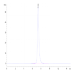 Cynomolgus OSMR Protein (OSM-CM101)