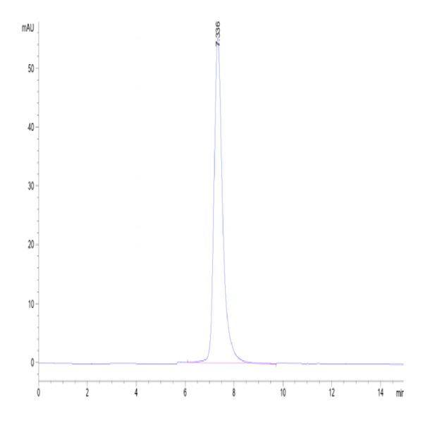 Cynomolgus OSMR Protein (OSM-CM101)