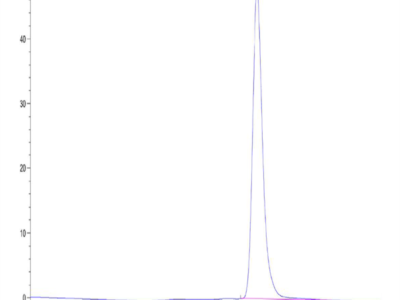 Canine OSMR Protein (OSM-DM101)