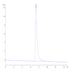 Canine Oncostatin M/OSM Protein (OSM-DM10M)