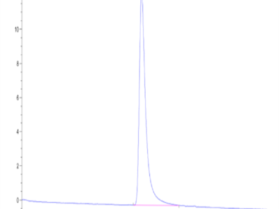 Canine Oncostatin M/OSM Protein (OSM-DM10M)