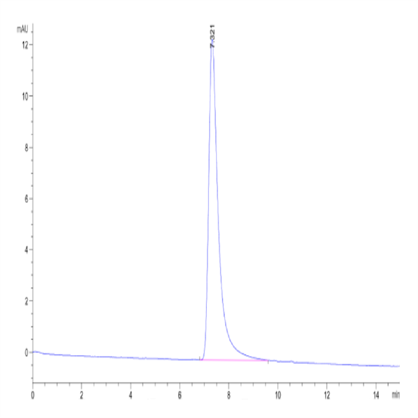 Canine Oncostatin M/OSM Protein (OSM-DM10M) Canine Oncostatin M/OSM Protein (OSM-DM10M)