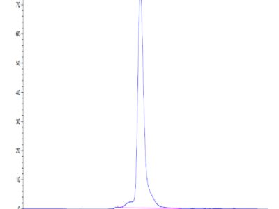 Mouse OSMR Protein (OSM-MM101)