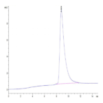 Mouse Oncostatin M/OSM Protein (OSM-MM102)