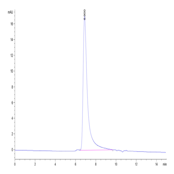 Human OX40/TNFRSF4/CD134 Protein (OX4-HM440) Human OX40/TNFRSF4/CD134 Protein (OX4-HM440)
