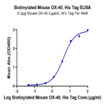 Biotinylated Mouse OX40/TNFRSF4/CD134 Protein (OX4-MM440B)
