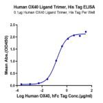Human OX40 Ligand/TNFSF4 Trimer Protein (OXL-HM140)