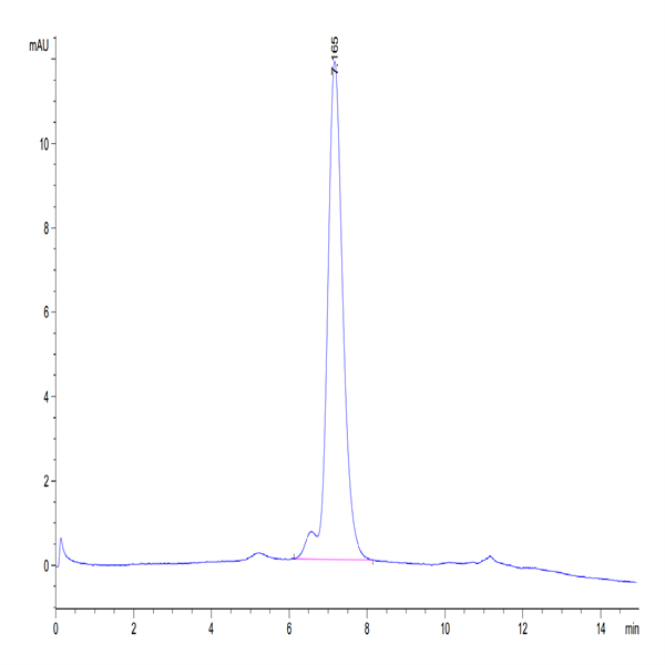 Human OX40 Ligand/TNFSF4 Trimer Protein (OXL-HM140)