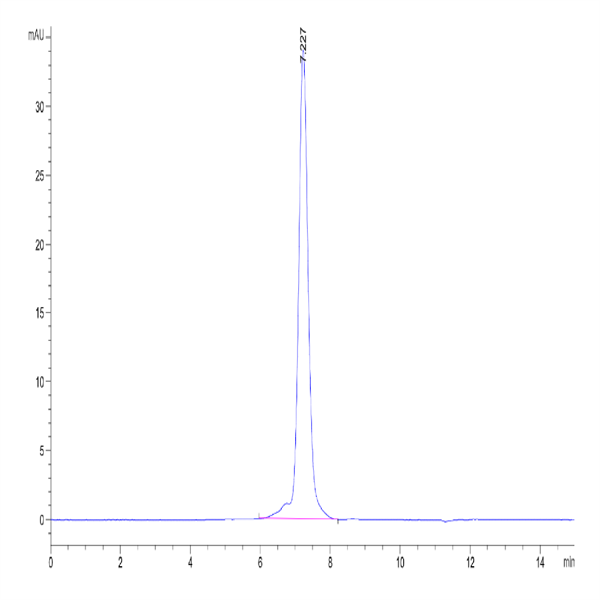Mouse OX40 Ligand/TNFSF4 Protein (OXL-MM240)