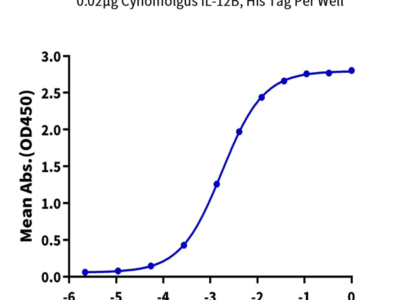 Cynomolgus IL-12B/p40/NKSF2 Protein (P40-CM112)