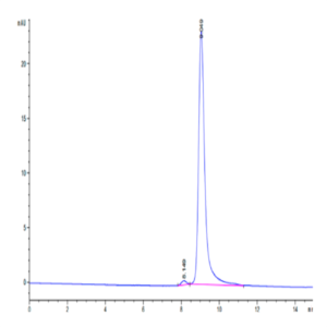 Cynomolgus IL-12B/p40/NKSF2 Protein (P40-CM112)