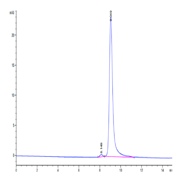 Cynomolgus IL-12B/p40/NKSF2 Protein (P40-CM112)