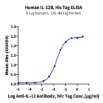 Human IL-12B/p40/NKSF2 Protein (P40-HM112)