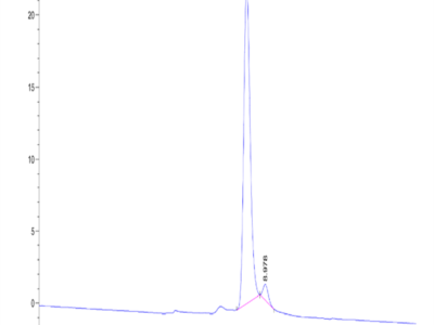 Human PAH (D415N) Protein (PAH-HB001)