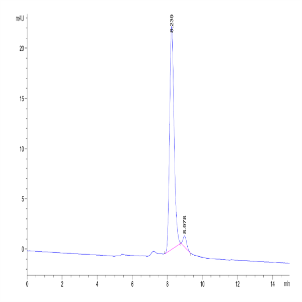Human PAH (D415N) Protein (PAH-HB001)