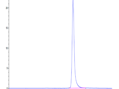 Human PAI-1 Protein (PAI-HM101)