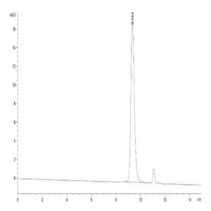 Rat PAI-1 Protein (PAI-RM101)