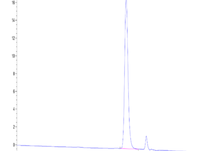 Rat PAI-1 Protein (PAI-RM101)